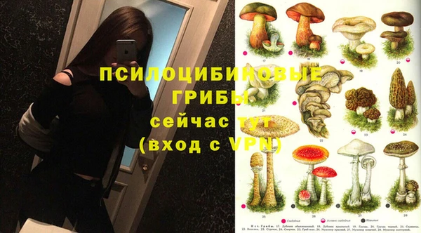 круглые Дмитриев