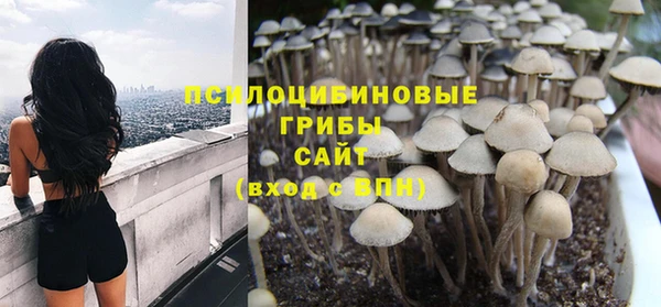 круглые Дмитриев