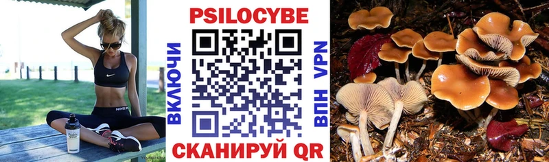 Псилоцибиновые грибы Magic Shrooms  дарк нет состав  Северская 